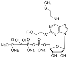 Cangrelor tetrasodium saltͼƬ