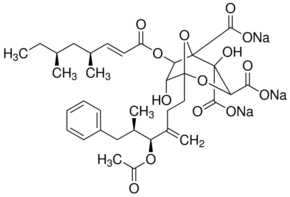 Zaragozic Acid A Trisodium SaltͼƬ