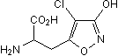 Cl-HIBOͼƬ