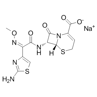 Ceftizoxime sodiumͼƬ