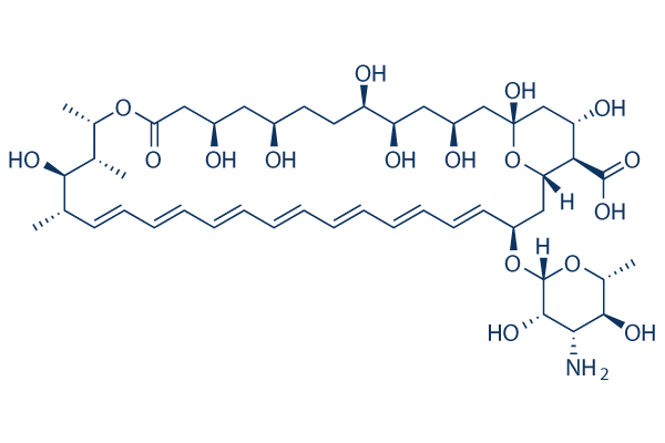 Amphotericin BͼƬ