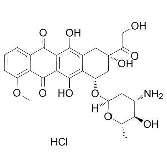 Epirubicin HClͼƬ