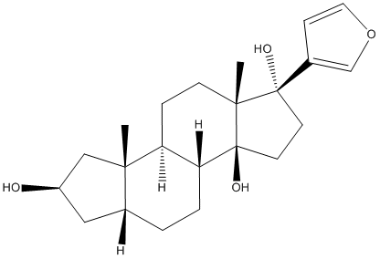 RostafuroxinͼƬ