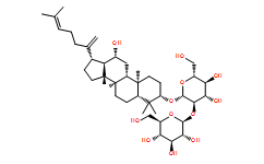 Ginsenoside-Rk1ͼƬ