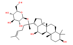 Ginsenoside Compound-KͼƬ