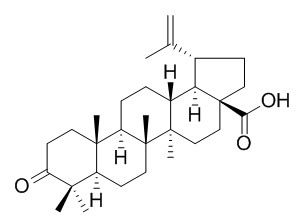 Betulonic acidͼƬ