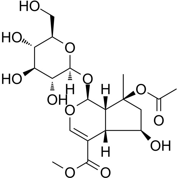 BarlerinͼƬ