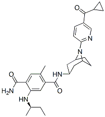 XL888ͼƬ