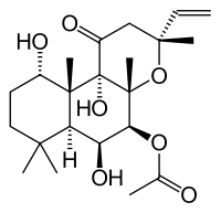 ForskolinͼƬ