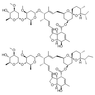 Ivermectin(MK-933)ͼƬ