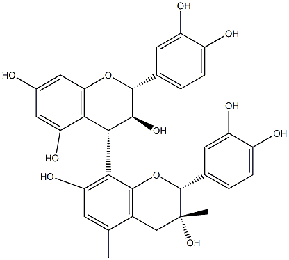 Grape Seed ExtractͼƬ