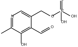 Pyridoxal phosphateͼƬ