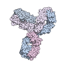 PEMBROLIZUMAB(Keytruda)ͼƬ