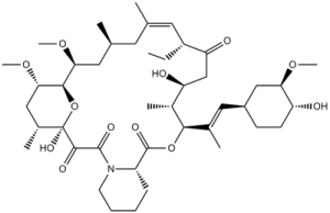 Ascomycin(FK520)ͼƬ