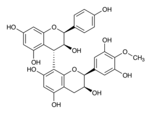 Grape Seed ExtractͼƬ