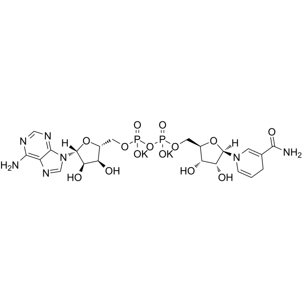 β-Nicotinamide adenine dinucleotide reduced dipotassiumͼƬ