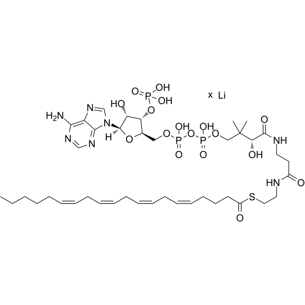 Arachidonoyl coenzyme A lithiumͼƬ