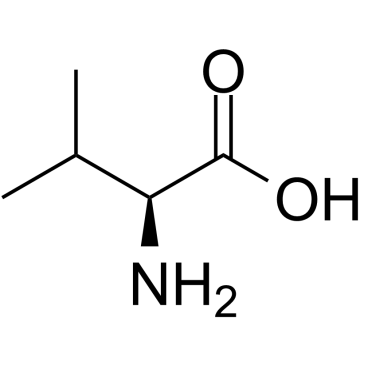 L-ValineͼƬ