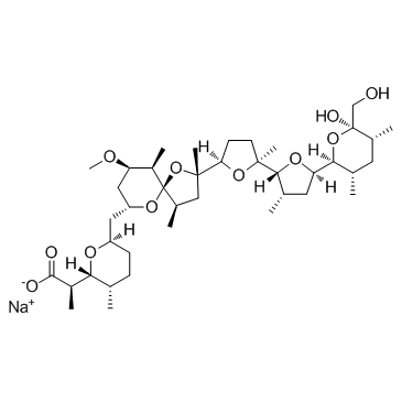 Nigericin sodium salt(sodium Nigericin)ͼƬ