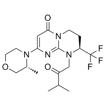 Vps34 inhibitor 2ͼƬ