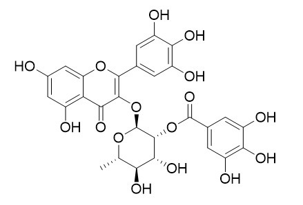 2-O-GalloylmyricitrinͼƬ