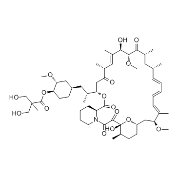 Temsirolimus(CCI-779)ͼƬ