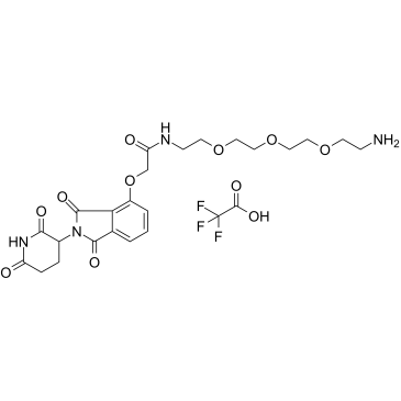 Thalidomide-O-amido-PEG3-C2-NH2(TFA)ͼƬ