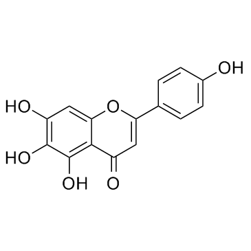 Scutellarein(6-Hydroxyapigenin4',5,6,7-Tetrahydroxyflavone)ͼƬ