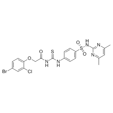 ZCL278ͼƬ