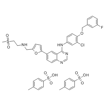 Lapatinib ditosylate(GW-572016 ditosylate)ͼƬ