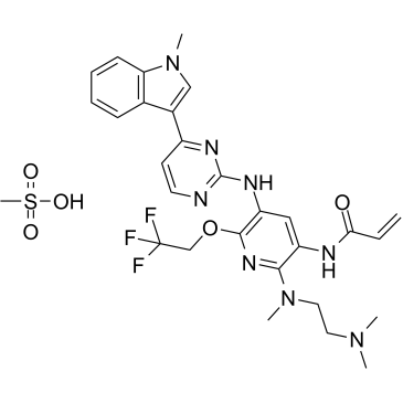 Furmonertinib mesylate(Alflutinib mesylate AST2818 mesylate)ͼƬ