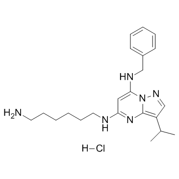 BS-181 hydrochlorideͼƬ