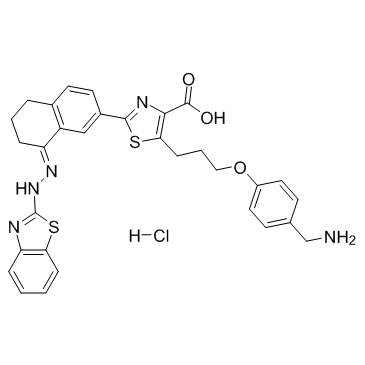 WEHI-539 hydrochlorideͼƬ