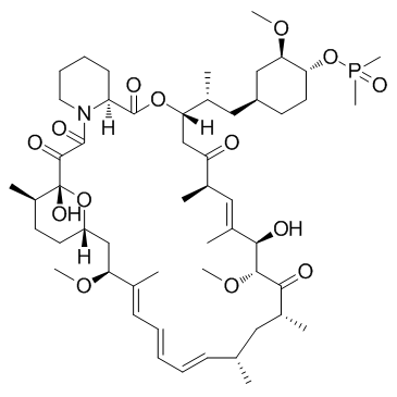 Deforolimus(AP23573MK-8669Ridaforolimus)ͼƬ