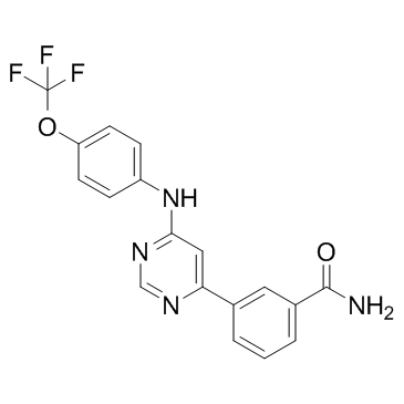 GNF-2ͼƬ