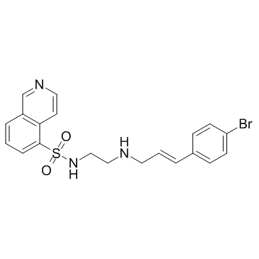 H 89(Protein kinase inhibitor H-89)ͼƬ