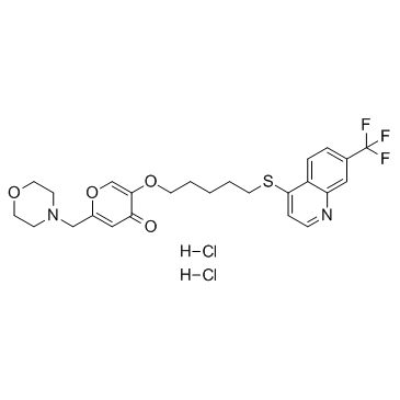 EHT 1864ͼƬ