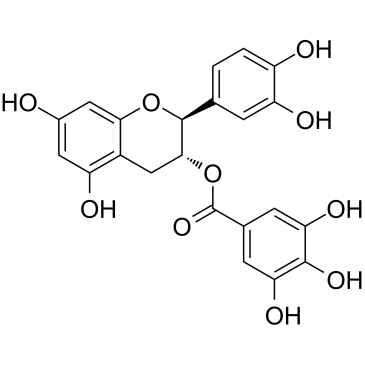 (-)-Catechin gallate((-)-Catechin 3-gallate(-)-Catechin 3-O-gallate)ͼƬ