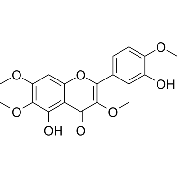 CasticinͼƬ