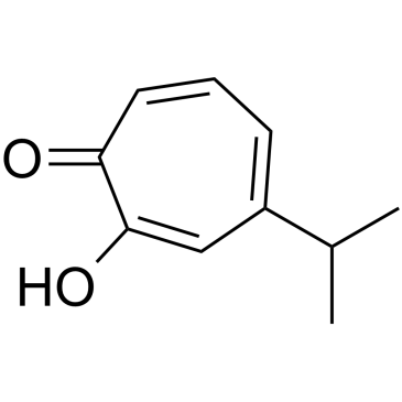 Hinokitiol(-Thujaplicin)ͼƬ