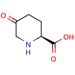 (2S)-5-oxopiperidine-2-carboxylicacidͼƬ