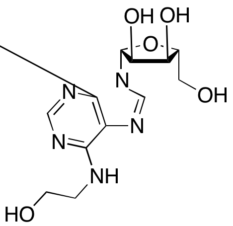 (2R,3R,4S,5R)-2-(6-((2-Hydroxyethyl)amino)-9H-purin-9-yl)-5-(hydroxymethyl)tetrahydrofuran-3,4-diolͼƬ