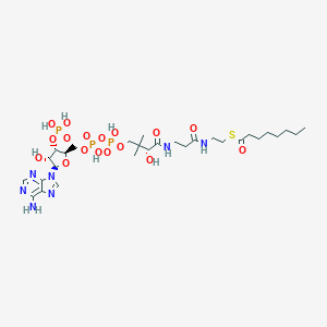 Octanoyl Coenzyme AͼƬ