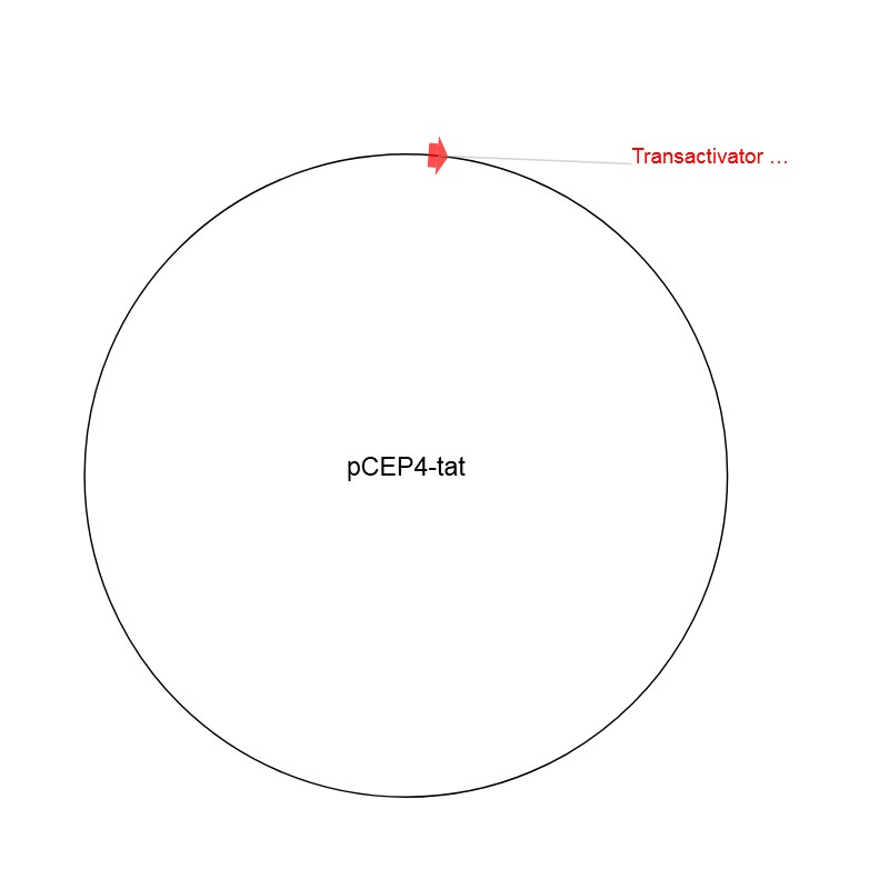 pCEP4-tatͼƬ