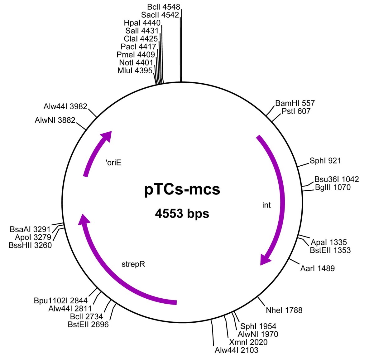 pTCS-mcsͼƬ