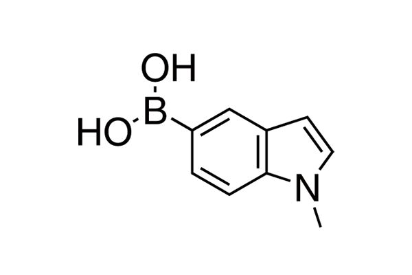 1-Methyl-1H-indol-5-ylboronic acidͼƬ