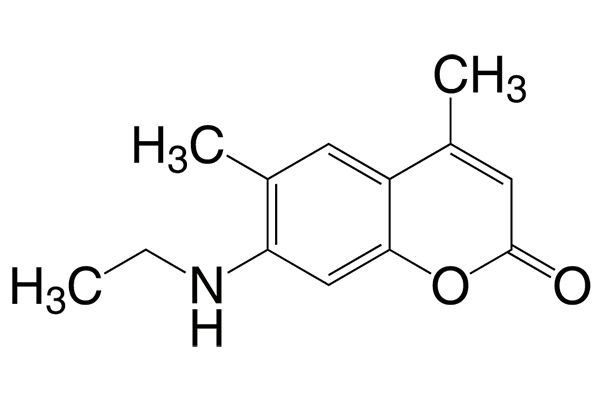 7-(Ethylamino)-4,6-dimethylcoumarinͼƬ