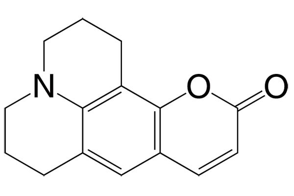 2,3,6,7-Tetrahydro-1H-pyrano[2,3-f]pyrido[3,2,1-ij]quinolin-11(5H)-oneͼƬ