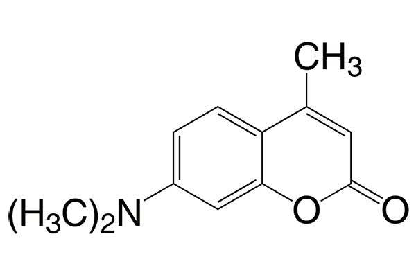 7-(Dimethylamino)-4-methylcoumarinͼƬ