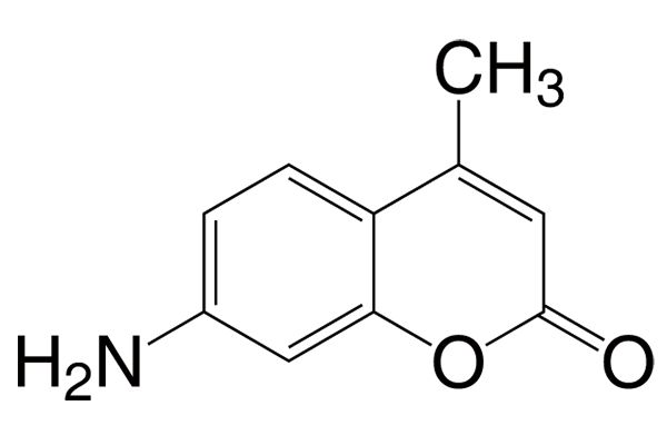 7-Amino-4-methylcoumarinͼƬ